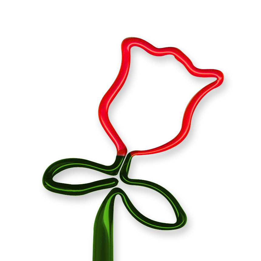 Flower - Rose